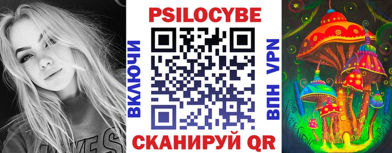 купить закладку  Миньяр  Псилоцибиновые грибы Cubensis 